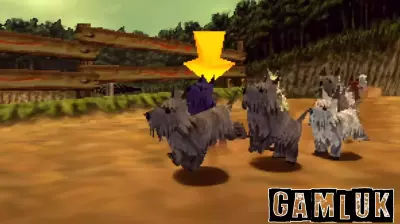 Majora's Mask's Blue Dog Triumphs in Race After 24-Year Wait